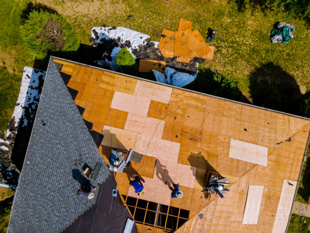 Roof Gutter Cleaning in Leadwood, MO